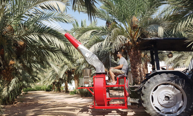 TAMRAZ 1000 – for spraying & dusting date-palm trees